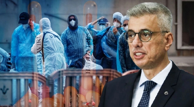 Hantavirüs paniği büyüyor mu? Bakanlık net konuştu
